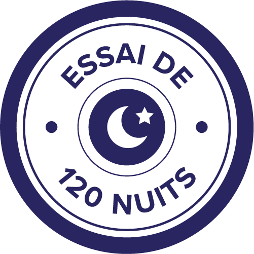 FR-icon-essae-120-nuits-DBstyle-RGB-121819 (2)